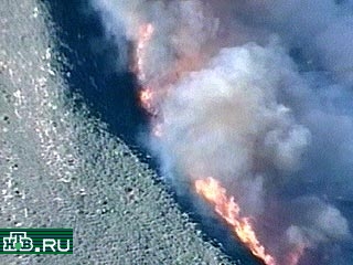В Аргентине из-за жары начались сильнейшие лесные пожары. Выгорело около 1,5 млн. гектаров леса. Уже побит рекорд 1976 года, когда сгорел лес на 1 млн. гектаров