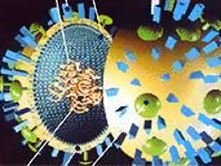 Обыкновенный вирус гриппа при помощи методов генной инженерии может быть легко превращен в оружие массового уничтожения