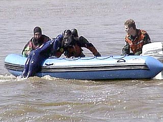 На место происшествия прибыли спасатели Мосгорспаса, которые осуществляют подъем затонувшего автомобиля