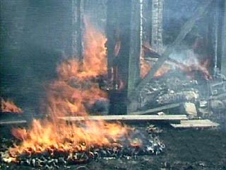 Из-за лесных пожаров в Томской области введено чрезвычайное положение