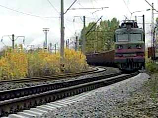 Пятеро женщин были сбиты в воскресенье грузовым поездом на перегоне Даровица - Ацвеж в Кировской области