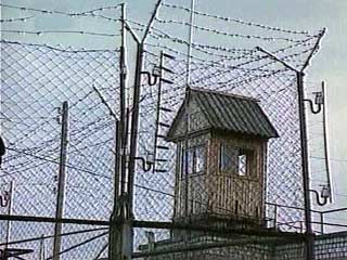 В Калининградской области из-под стражи совершили побег двое заключенных