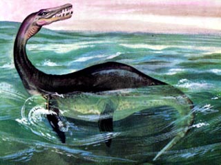 Четыре прекрасно сохранившихся позвонка, принадлежавшие 10-метровому плезиозавру и датируемые Юрским периодом, были найдены местным жителем на мелководье у берега Лох-Несс