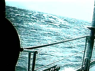 В Азовском море перевернулась лодка, погибли пять человек