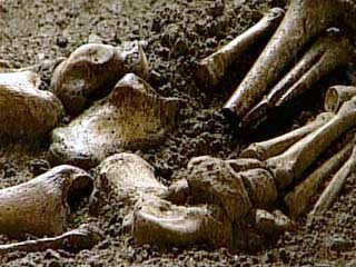 В Ульяновской области обнаружен обезглавленный скелет эпохи неолита