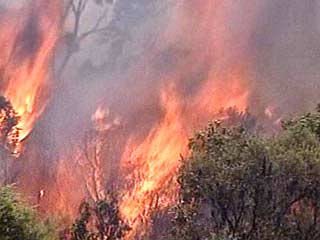 Лесные пожары бушуют всего в километре от нескольких поселков Хабаровского края, огнем охвачены 35 тыс гектаров тайги