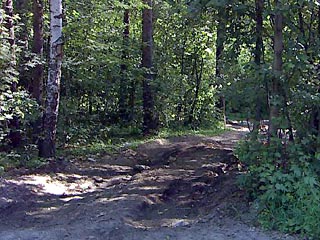 В московском Битцевском лесопарке недалеко от реки "Чертановка" обнаружено тело убитой женщины