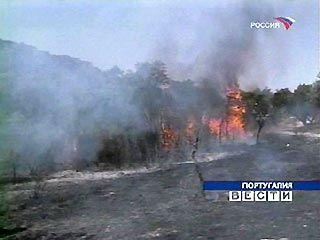 Португалия была объявлена зоной стихийного бедствия из-за непрекращающихся лесных пожаров, в результате которых погибли уже 9 человек