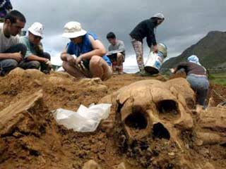 В Южном Казахстане обнаружен сарматский родовой склеп с шестью скелетами