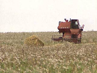 В России собрано всего 12 млн тонн зерна