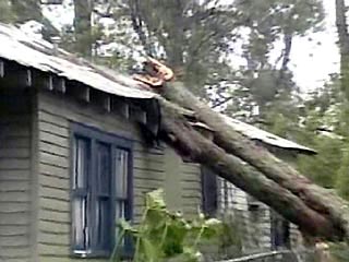 В Курской области погибли три человека во время урагана