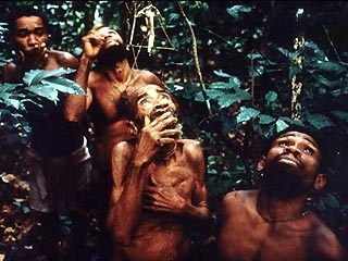 Пигмеи, проживающие в дремучих джунглях Конго, выпустили в свет свой дебютный компакт-диск с песнями, описывающими трудности и прелести жизни в лесу