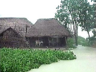 В Индии в результате наводнения погибли 26 человек, пострадали три миллиона