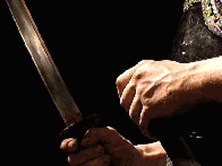 В немецком городе Пфорцхайм 24-летний преступник зарезал самурайским мечом женщину и тяжело ранил еще двух человек. Затем он нанес себе тяжелые ранения