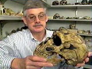 В Румынии в Карпатских горах найдены кости человека, умершего около 35 тысяч лет назад. Это - самые древние останки человека, которые до сих пор удалось обнаружить ученым