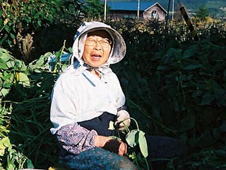 Японские фермеры переживают нашествие воров