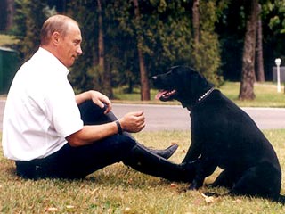 Путин со своей собакой - лабрадором Кони - в Ново-Огарево
