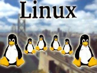 Российских чиновников пересадят на Linux