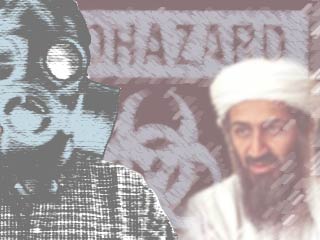 Спецслужбы США располагают сведениями о том, что группировка "Аль-Каида" пыталась заполучить в странах Юго- Восточной Азии споры сибирской язвы, чтобы использовать их в терактах