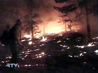Мощные пожары в Калифорнии стали причиной гибели 16 человек