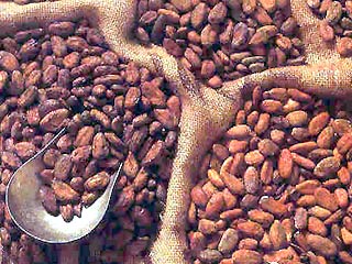 Употребление какао тормозит старение