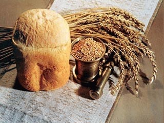 В Ватикане полагают, что генетически модифицированные продукты спасут от голода