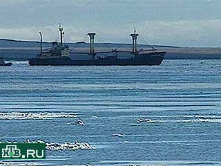 Танкеры с топливом не могут пробиться к причалам порта Магадана из-за того, что лед толщиной в метр сковал бухту Нагаево