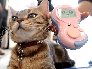 В Японии в пятницу поступил в продажу первый в мире портативный компьютер-переводчик с языка кошек, который разработала компания "Такара" - один из ведущих в стране производителей игрушек