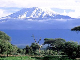 Гору Килиманджаро покрыли пластиковыми листами, чтобы спасти от жары