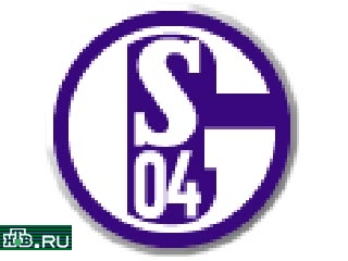 Хууб Стевенс и "Шальке-04" подписали бессрочный контракт