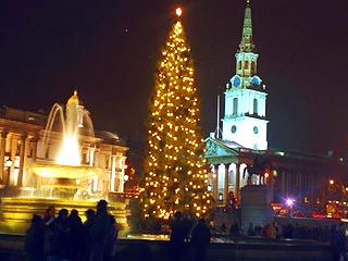 В Лондоне зажжены огни на рождественской елке из Норвегии