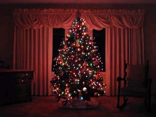 Рождественскую елку сочли символом христанской исключительности