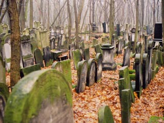 На кладбище и в церкви были намалеваны изображения свастики  Фото: http://warsawghetto.epixtech.co.uk