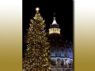 Рождественская елка в Ватикане.  Фото: REUTERS