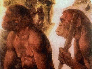 Первые люди современного типа (homo sapiens), жили в районе Северного полярного круга