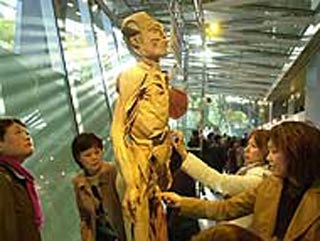 В Токио открылась выставка рассеченных человеческих тел