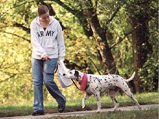 В США создали тест, который позволяет сравнить характер собаки и человека