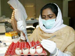 Эпидемия "птичьего гриппа" распространяется по странам Южно-Восточной Азии. Девятой страной региона, в которой зафиксированы случаи заражения птиц этой болезнью, стал Лаос