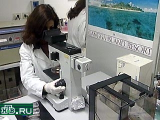 Итальянские ученые проводят испытания новой вакцины от СПИДа