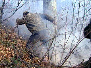 Недалеко от известного грузинского курорта Цхалтубо близ Кутаиси бушует лесной пожар