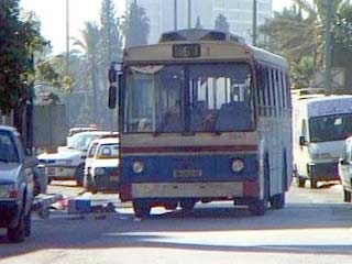 Полиция предлагает развешивать мешки со свиным жиром в каждом автобусе - чтобы "отвадить" палестинских камикадзе. Согласно исламской традиции, человек, так или иначе соприкоснувшийся со свиньей перед смертью, не допускается в райские кущи
