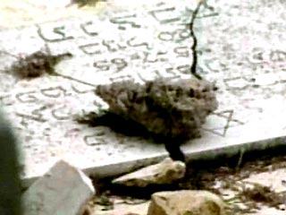 В Петербурге неизвестные вандалы разрушили 50 еврейских могил