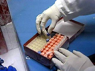 В Германии начинаются испытания на людях вакцины против СПИДа