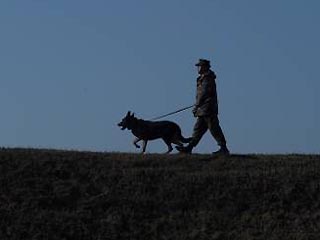 Американский солдат намерен забрать с собой в Техас собаку Хусейна