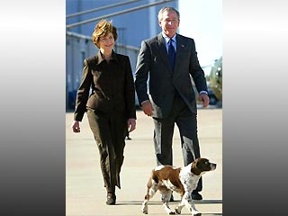 Президент США Джордж Буш и его жена Лора прислушались к совету ветеринара и решили усыпить свою собаку Спота