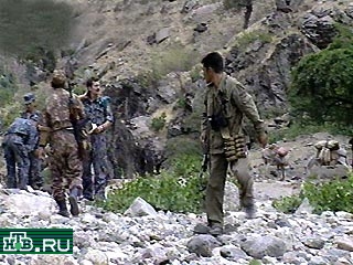 В Узбекистане в ходе боев против террористов погибли восемь военнослужащих