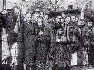 В Германию на экспертизу отправлен последний список 35 тысяч претендующих на компенсации бывших жертв нацизма