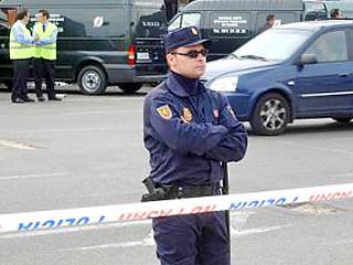 Испанская полиция обнаружила и обезвредила в пятницу еще одно взрывное устройство в Мадриде