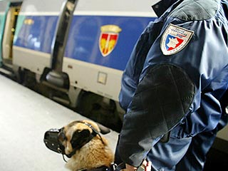 Франция ввела "красный уровень" угрозы на железных дорогах