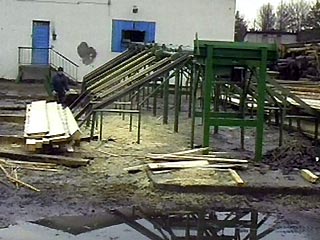 В Псковской области обрушилась крыша пилорамы: погибли женщина и ребенок